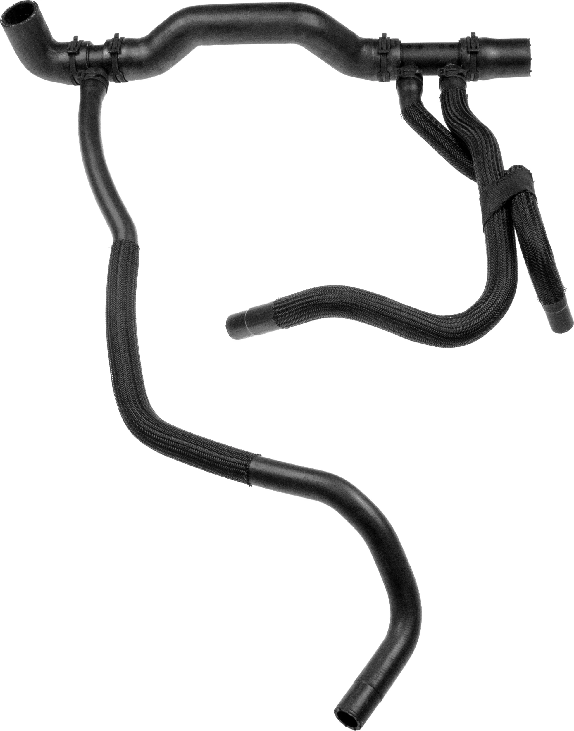 Radiator Hose