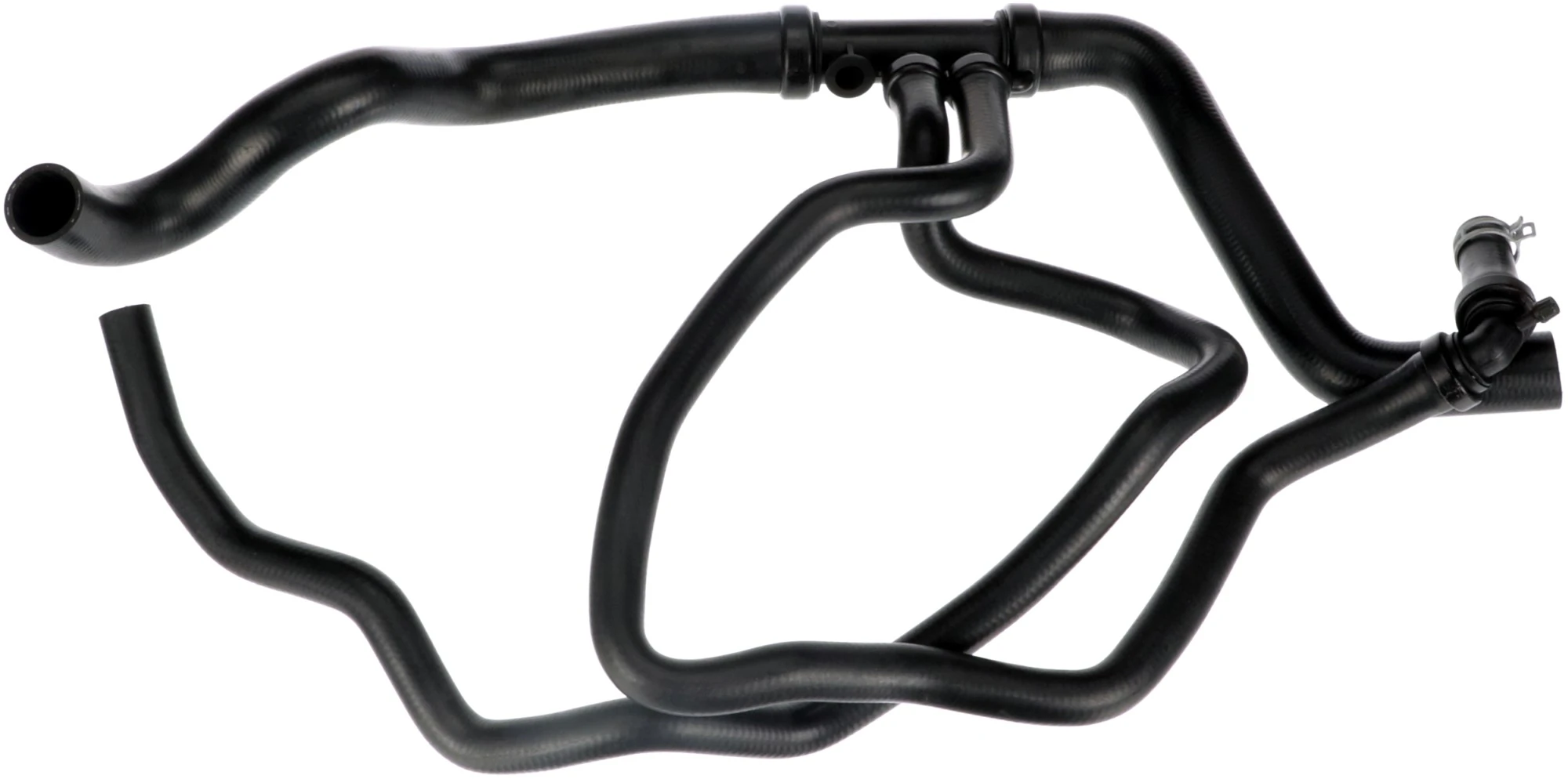 Radiator Hose