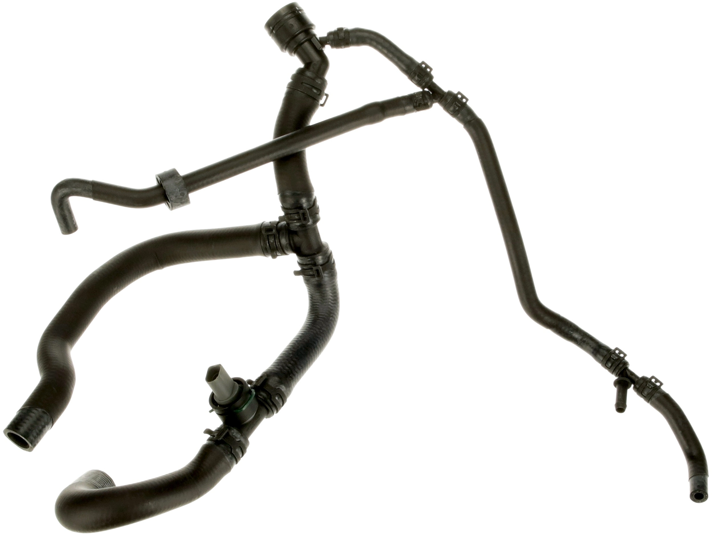 Radiator Hose