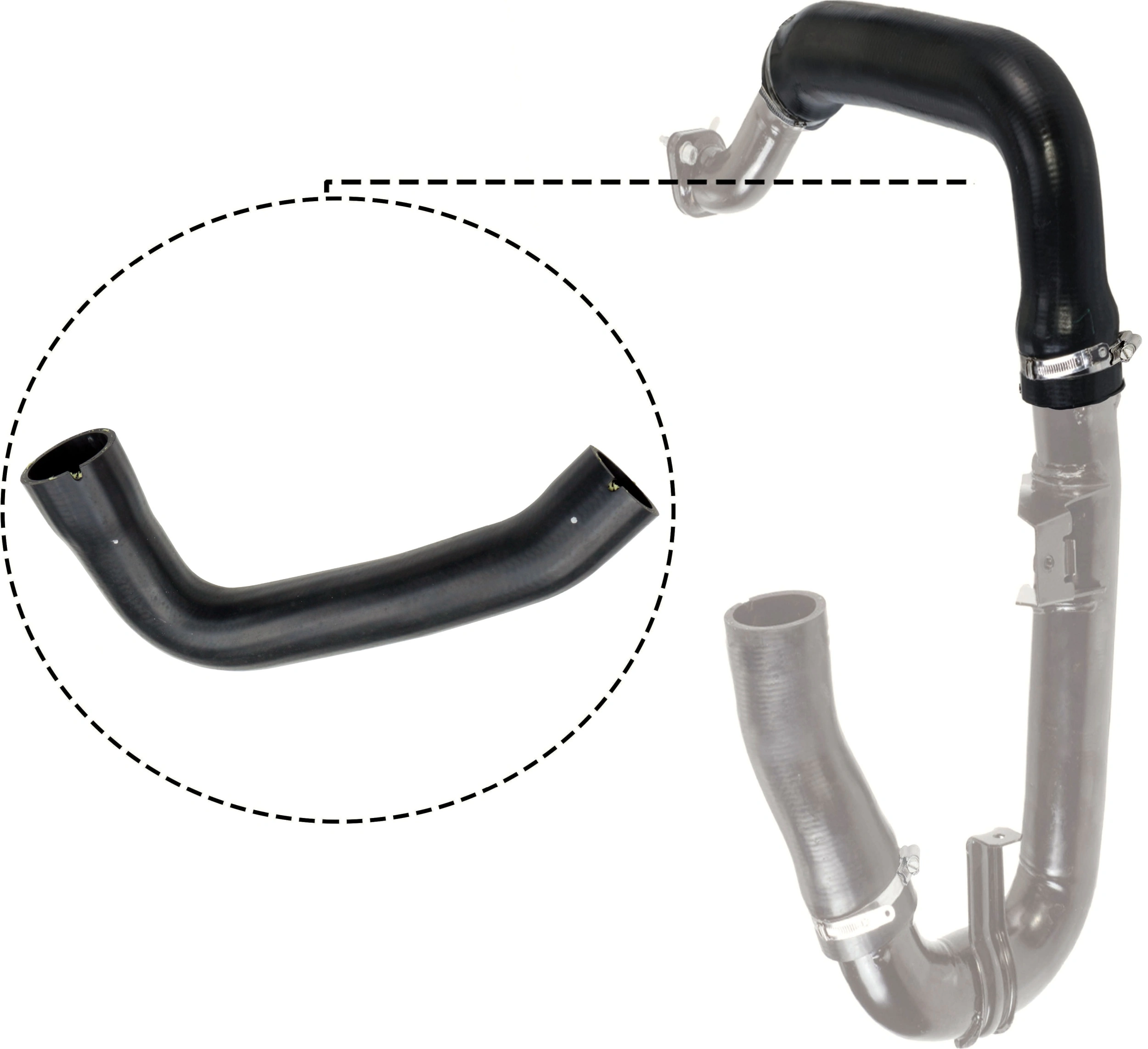 Charge Air Hose