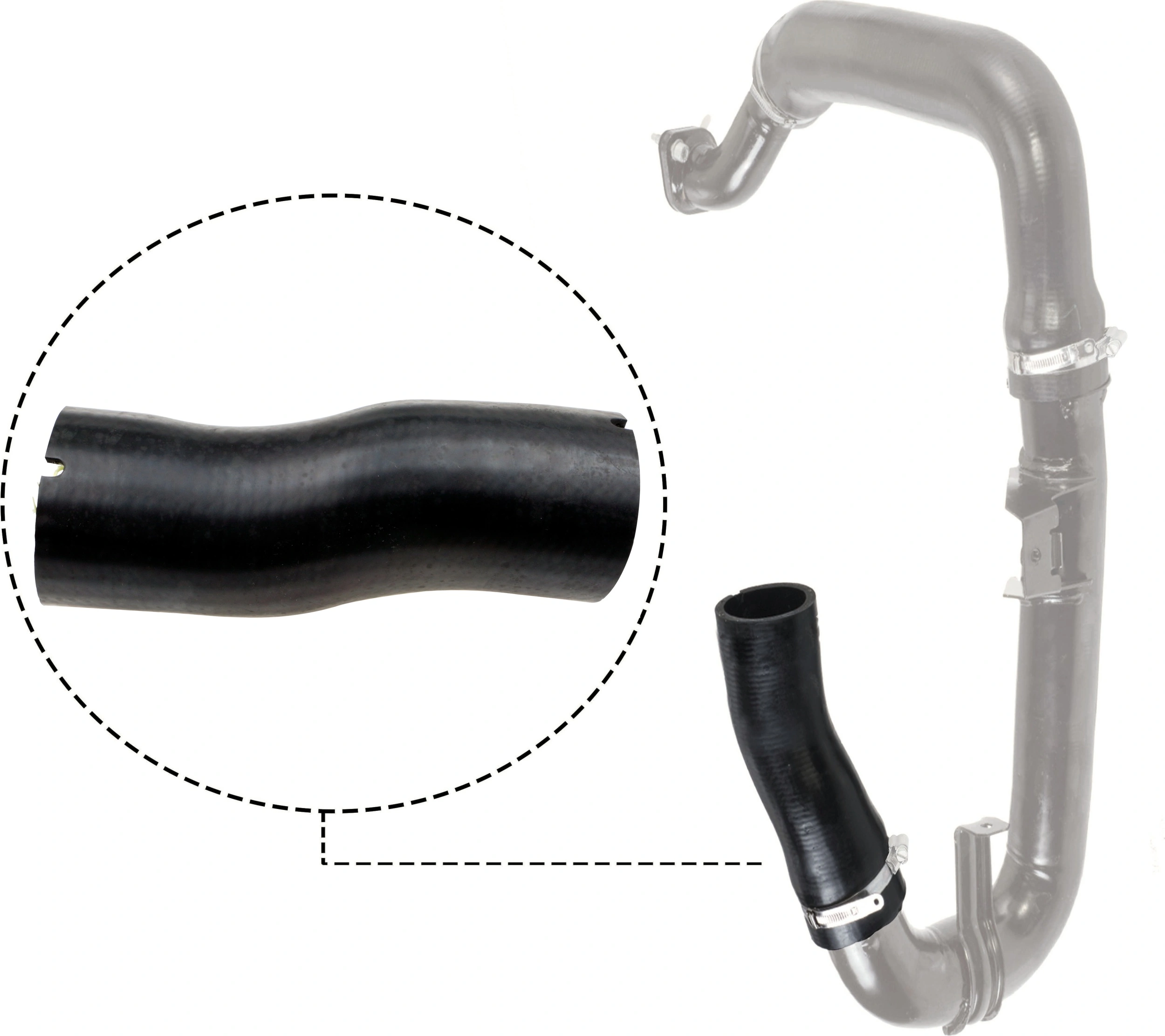 Charge Air Hose