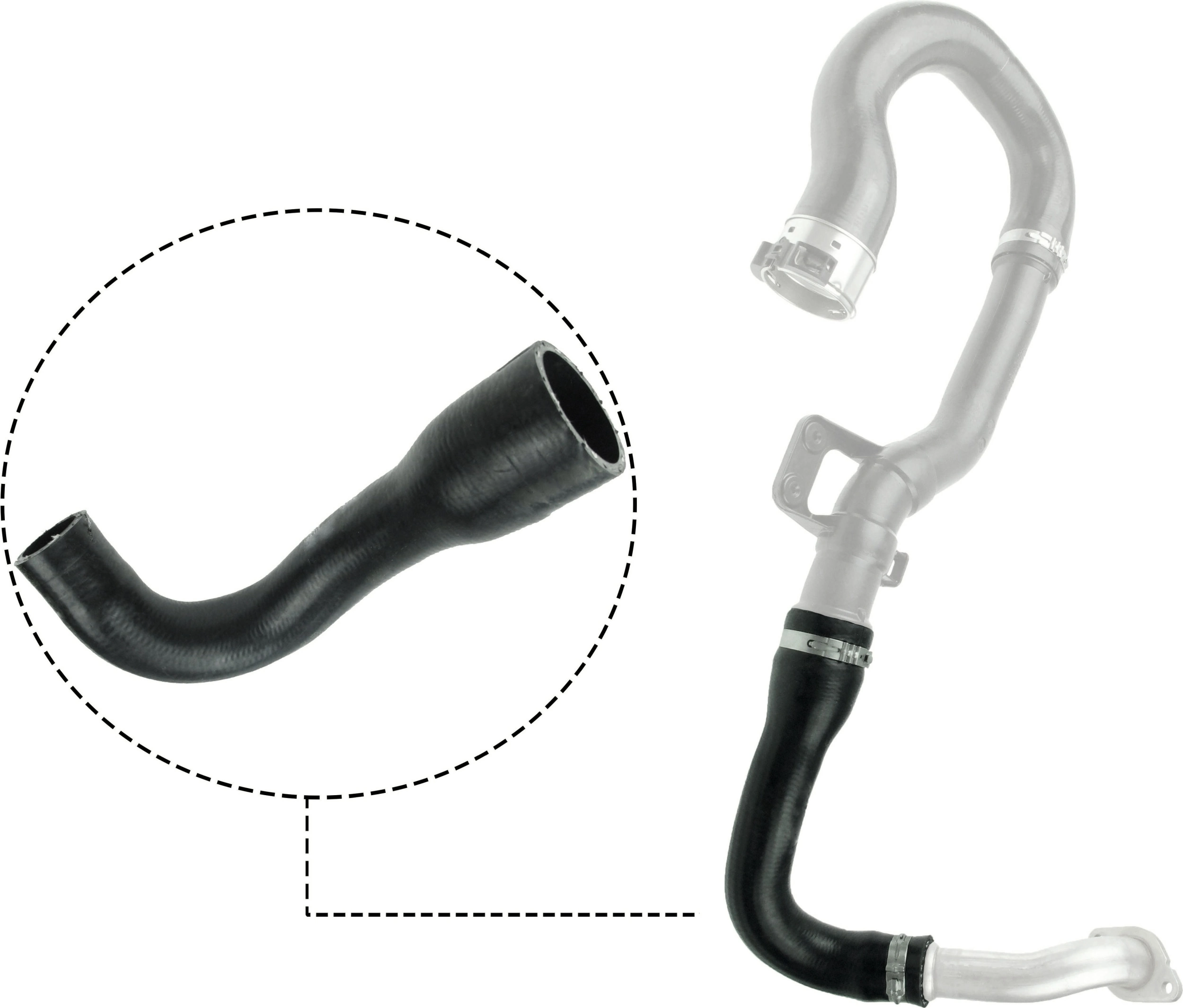 Charge Air Hose