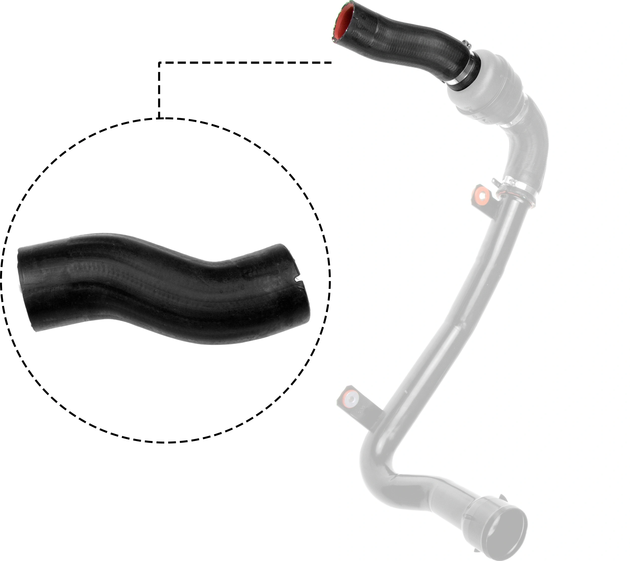 Charge Air Hose