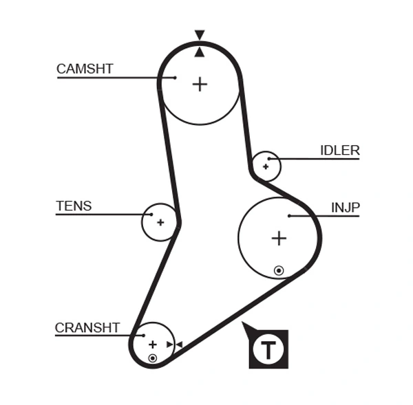 Timing Belt