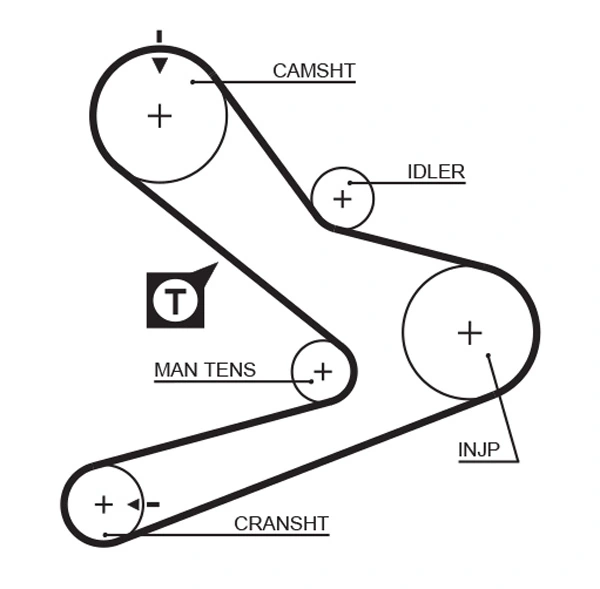 Timing Belt