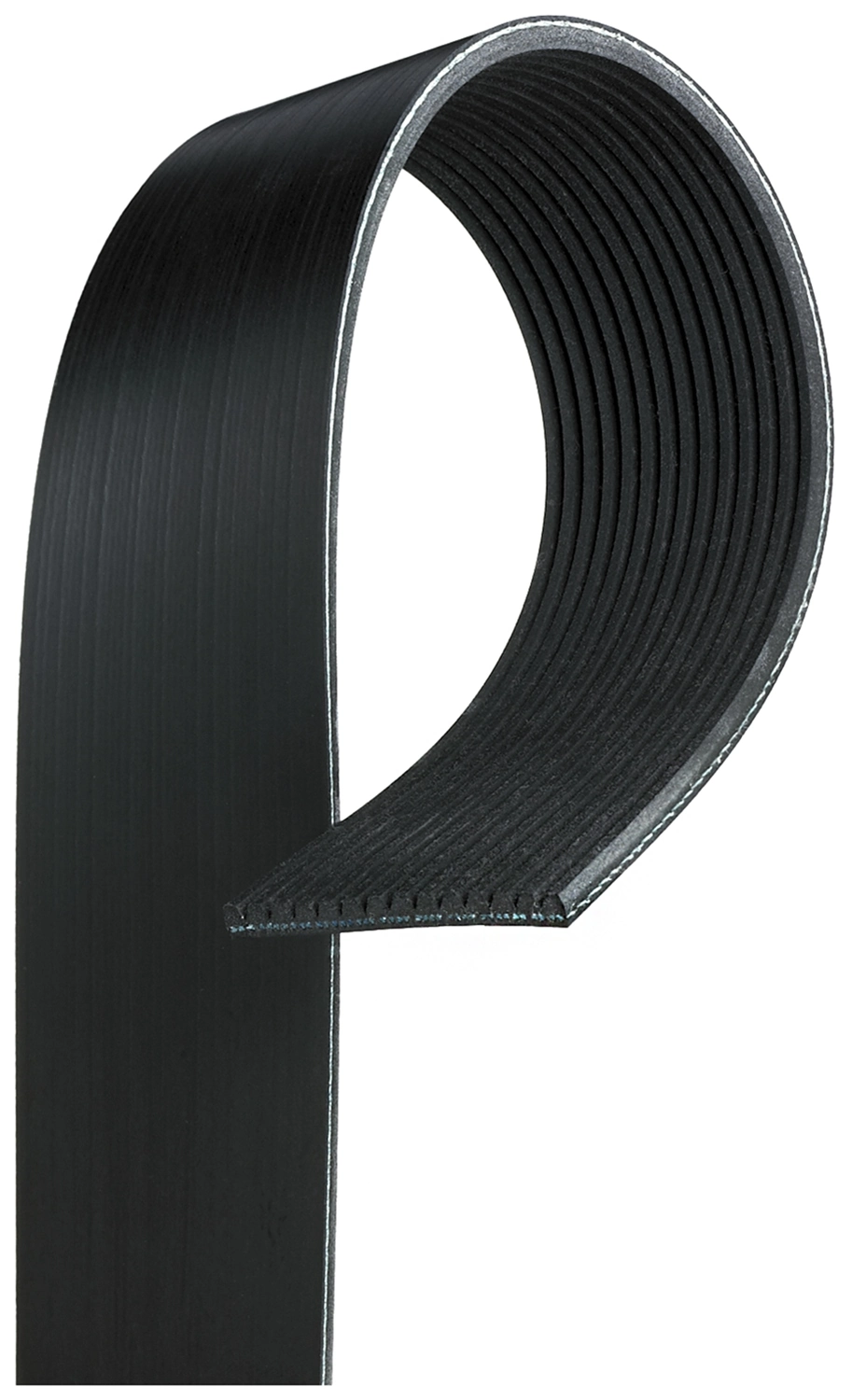 V-ribbed Belt