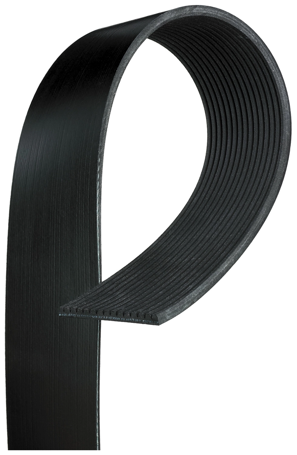 V-ribbed Belt