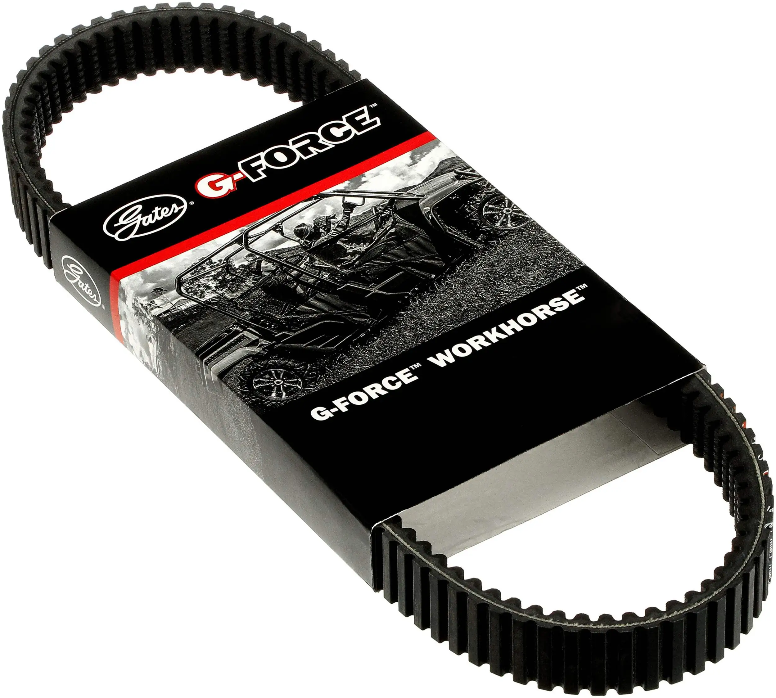 CVT Drive Belt