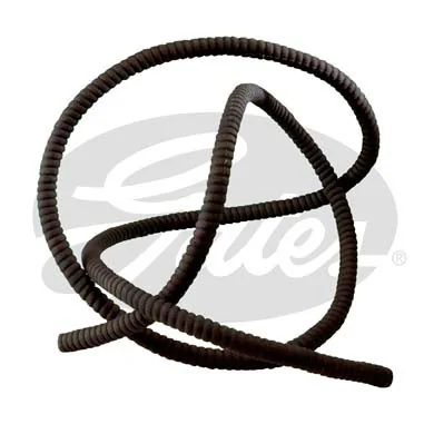 Hose