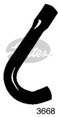 Radiator Hose