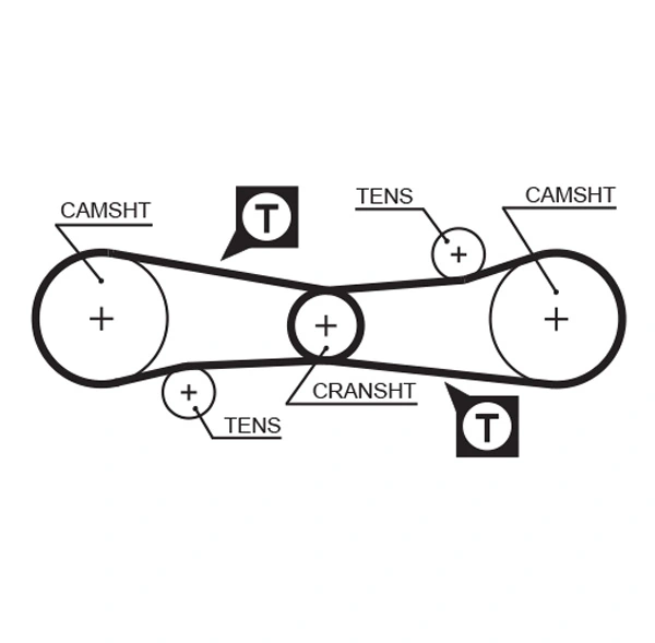 Timing Belt