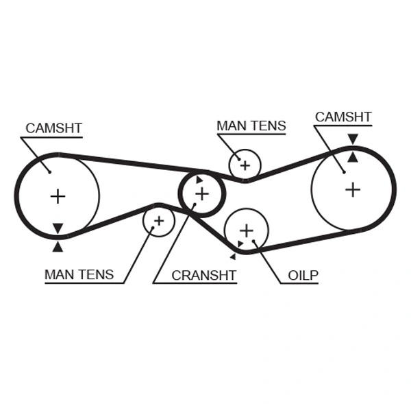 Timing Belt