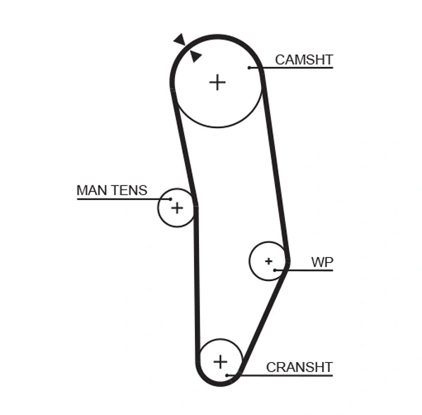Timing Belt