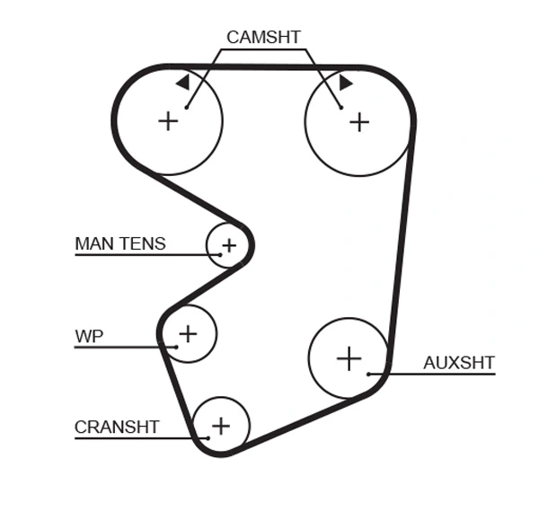 Timing Belt