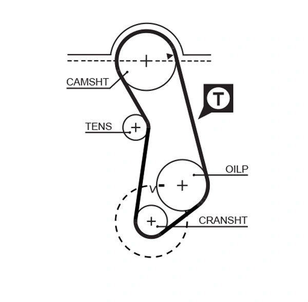 Timing Belt