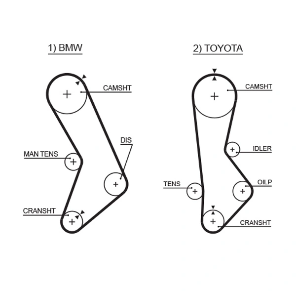 Timing Belt