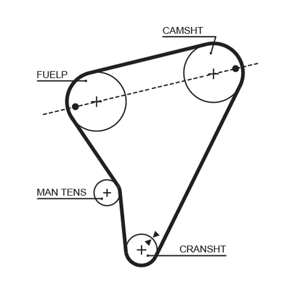 Timing Belt