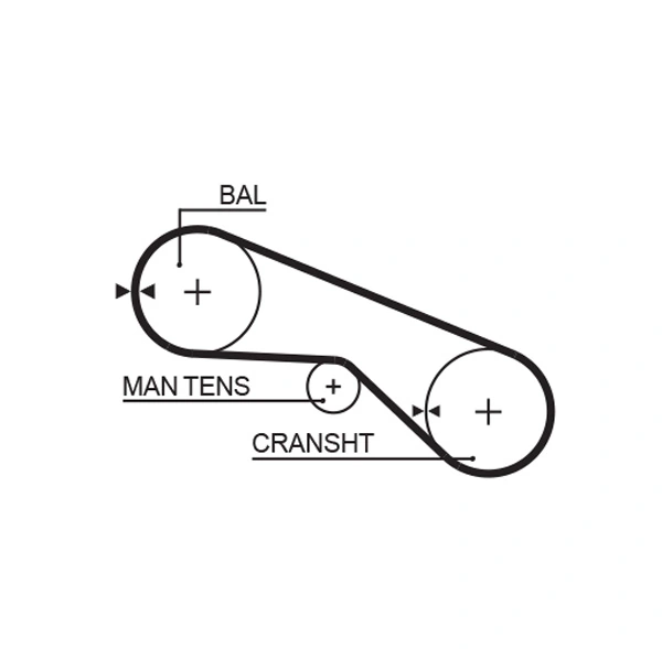Timing Belt