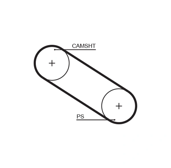 Timing Belt