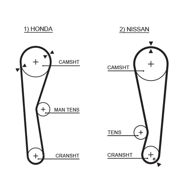 Timing Belt