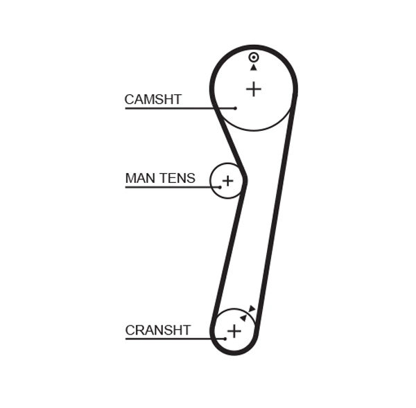 Timing Belt