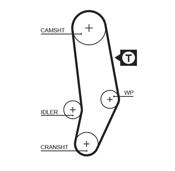 Timing Belt