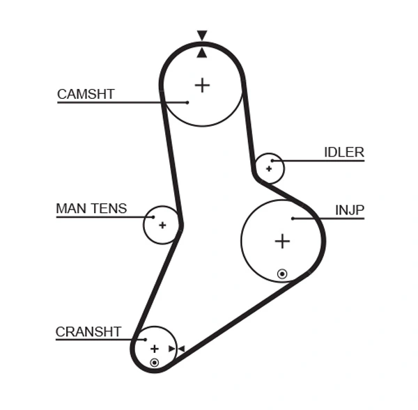 Timing Belt