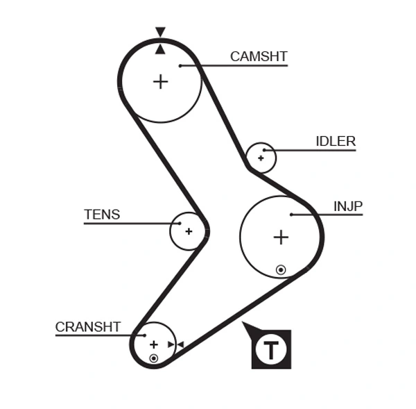 Timing Belt