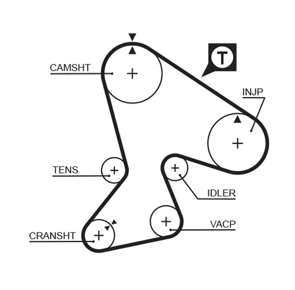 Timing Belt