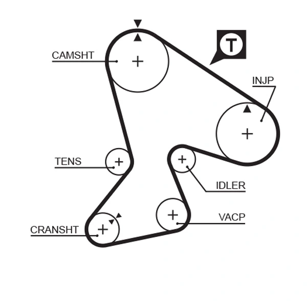 Timing Belt