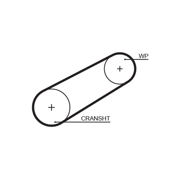 Timing Belt