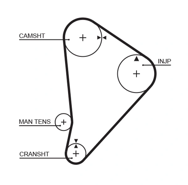 Timing Belt