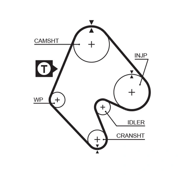 Timing Belt