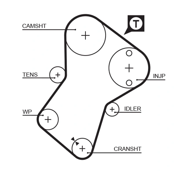 Timing Belt