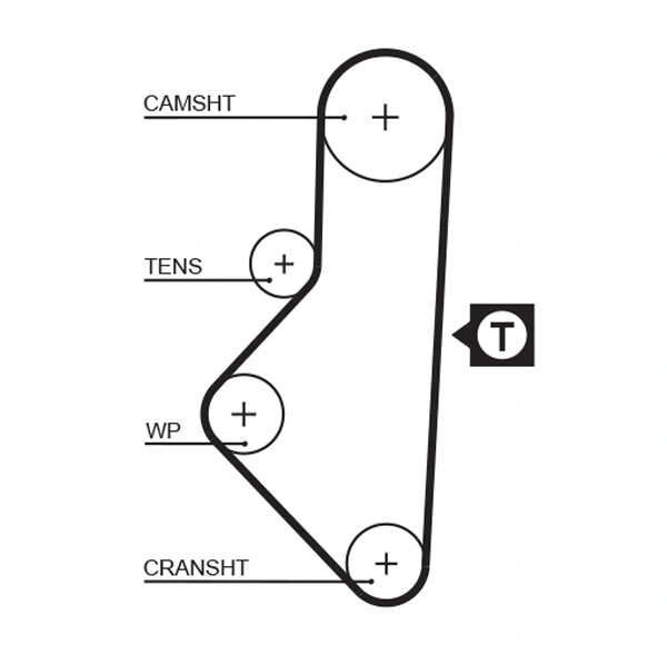 Timing Belt
