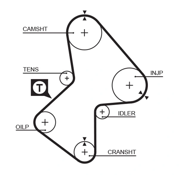 Timing Belt