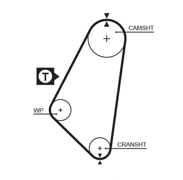 Timing Belt