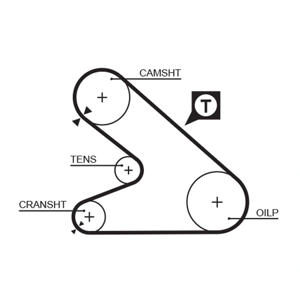 Timing Belt