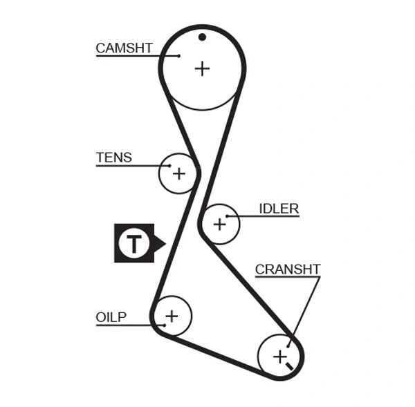 Timing Belt