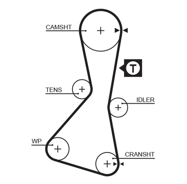Timing Belt