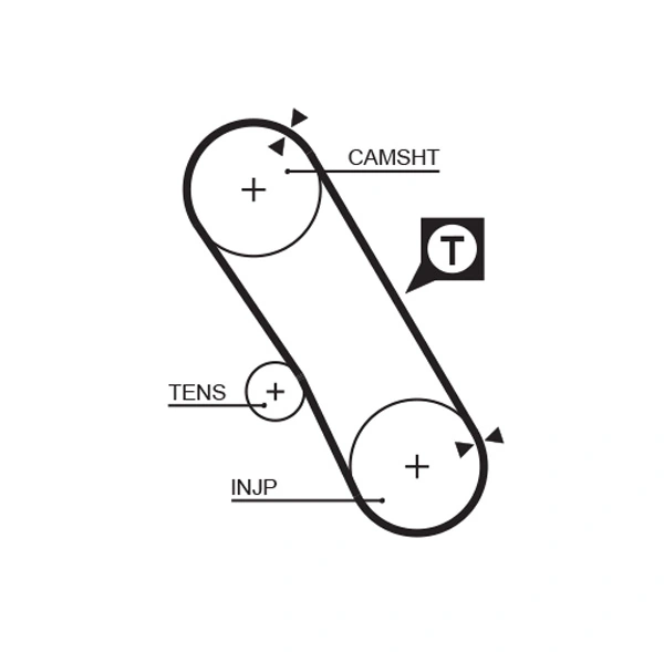Timing Belt
