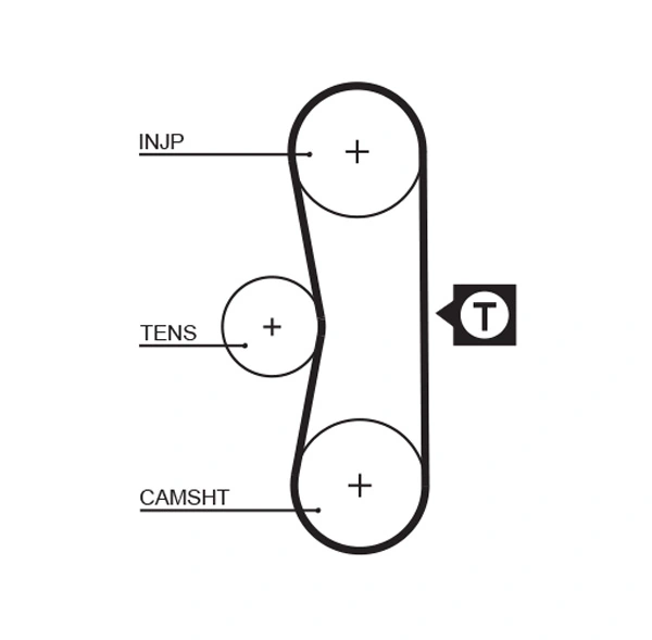 Timing Belt