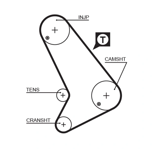 Timing Belt