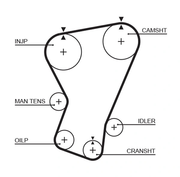 Timing Belt