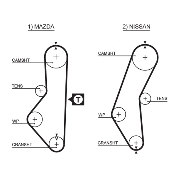 Timing Belt