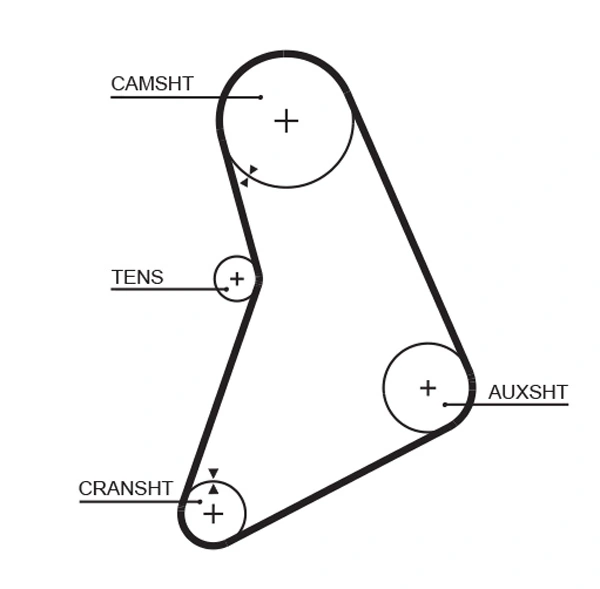 Timing Belt