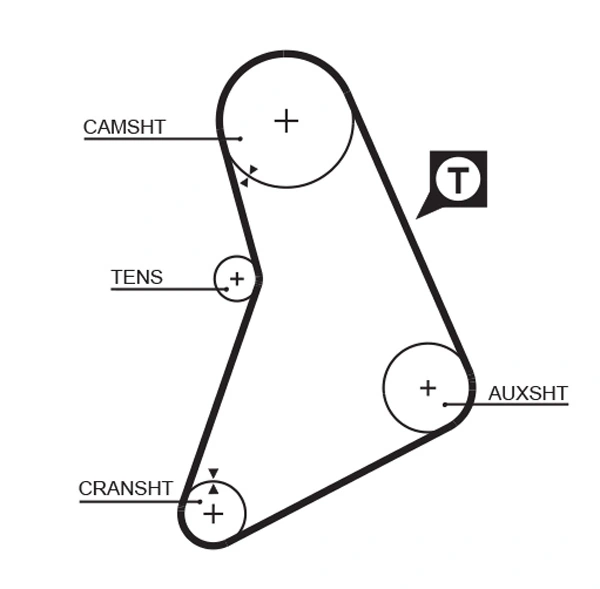 Timing Belt