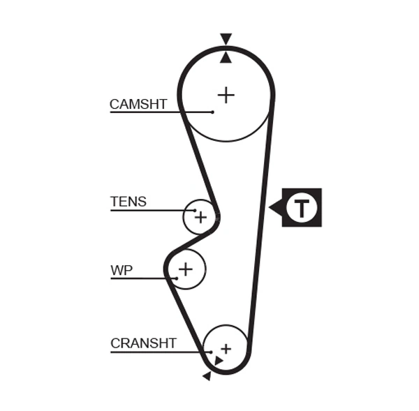 Timing Belt