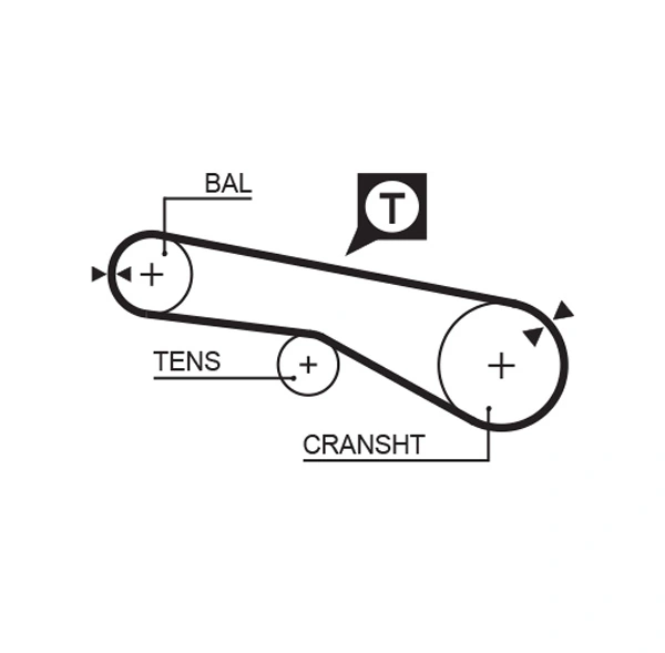 Timing Belt