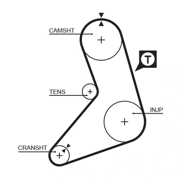 Timing Belt
